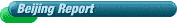 Beijing Report Website Sections